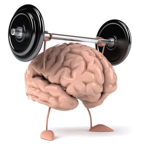 brain_muscle