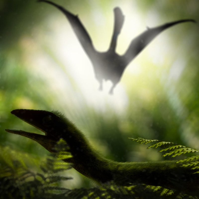Novo pterossauro brasileiro chama a atenção por crista bizarra