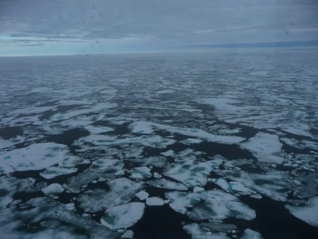 Gelo marinho de primeiro ano derrete no verão entre Svalbard e a Groenlândia em 2011 