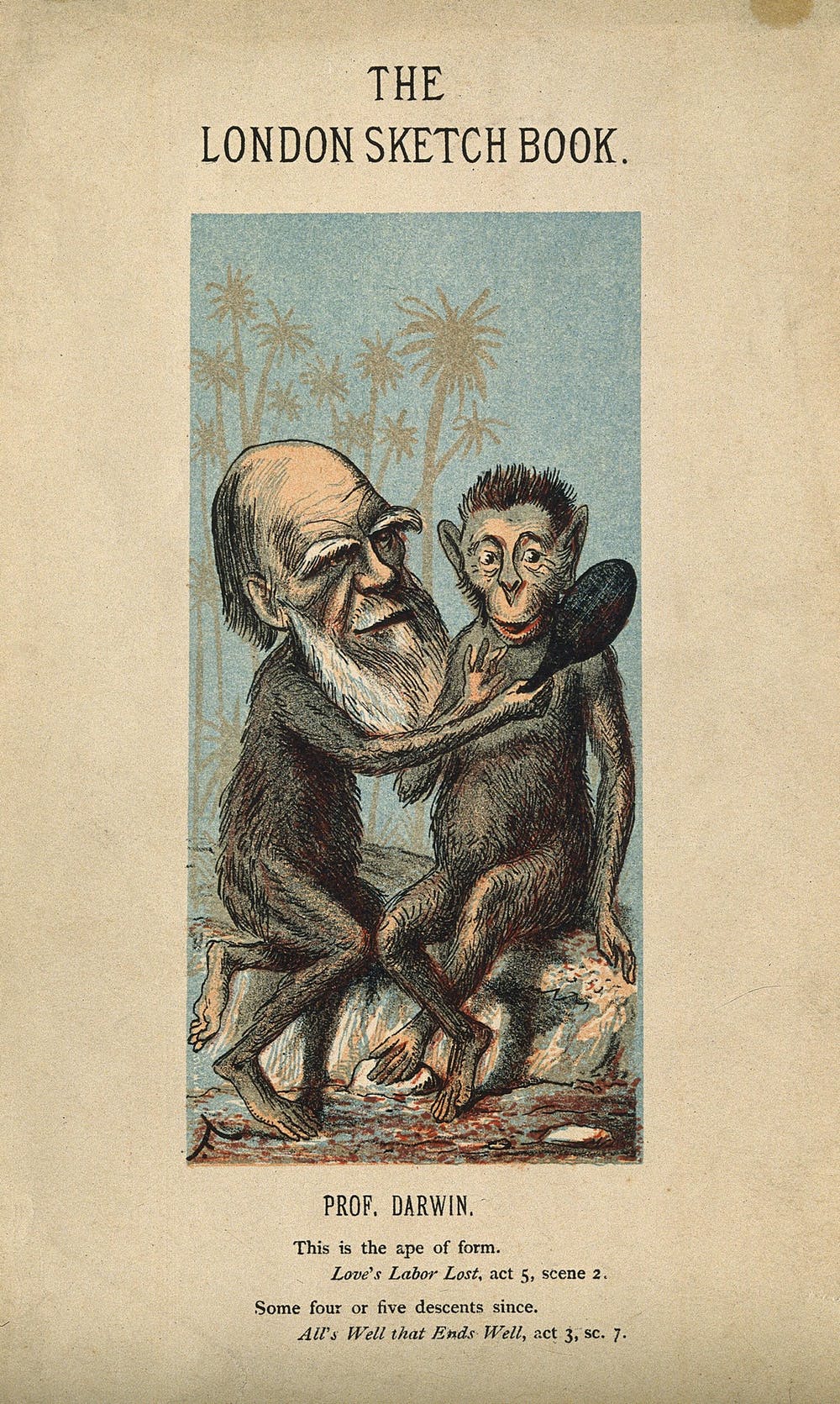150 Anos Do Livro A Descendência Do Homem E A Seleção Sexual De Darwin Marco Evolutivo 6933
