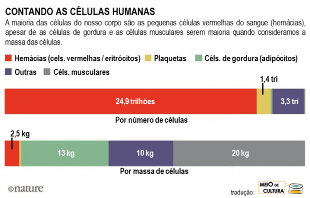 Dando descarga em mais um mito? \u2013 Meio de Cultura