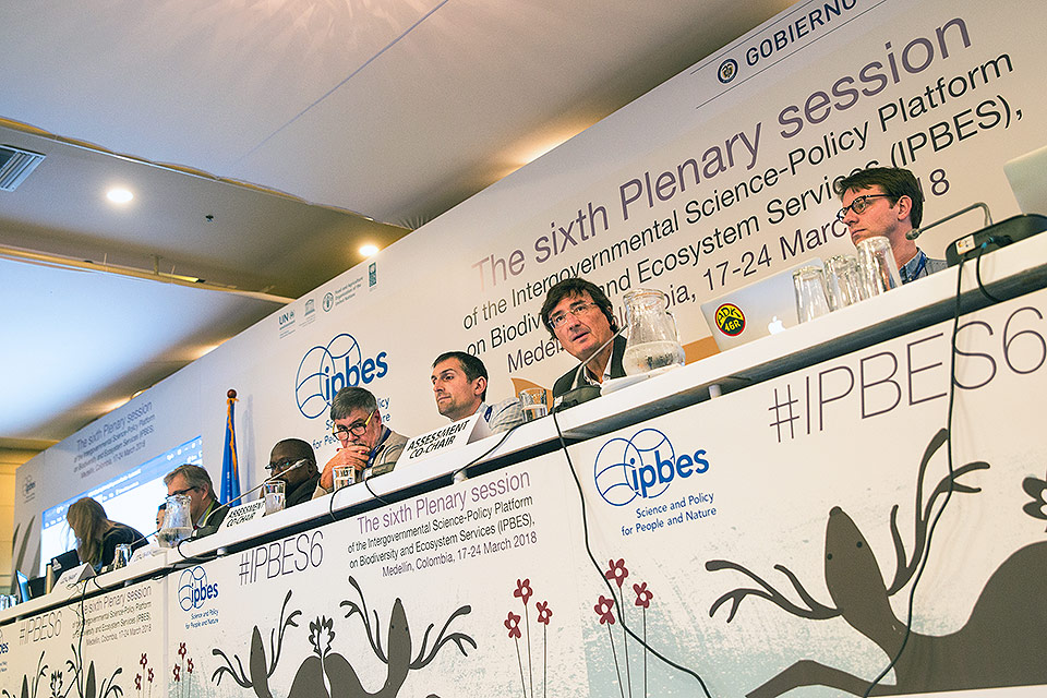 Plenária da IPBES ocorrida na Colômbia: referência na avaliação do declínio da biodiversidade. Foto: Jornal da Unicamp 