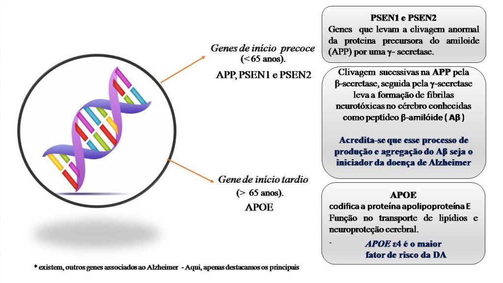 Genética Da Doença De Alzheimer Quimikinha